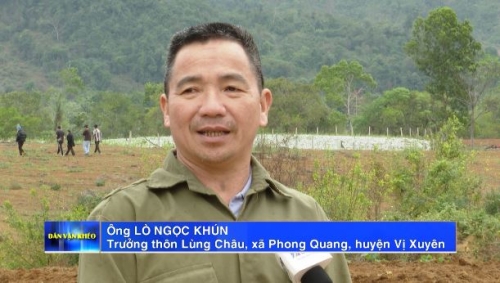 Mô hình trồng mía liên kết ở xã Phong Quang - Ngày 25/3/2024