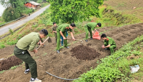 Công an huyện Mèo Vạc: Giúp hộ nghèo cải tạo vườn tạp