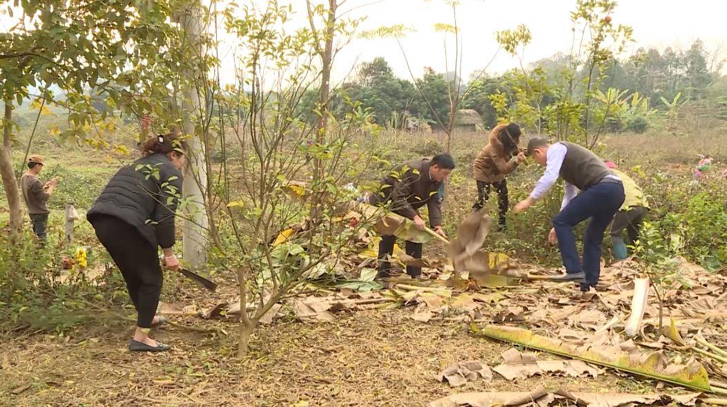 Bắc Quang sẵn sàng triển khai chương trình cải tạo vườn tạp
