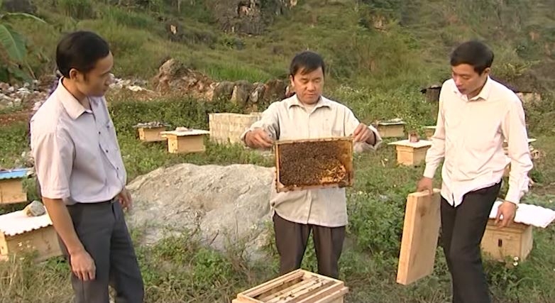 Một số giải pháp phát triển đàn ong mật trên địa bàn tỉnh Hà Giang - Ngày 18/11/2022