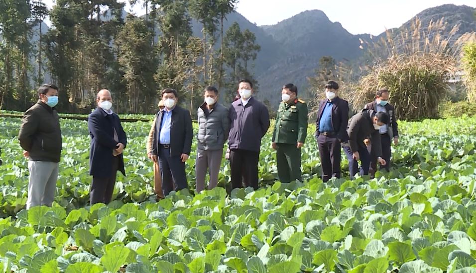 Phó Bí thư tỉnh ủy Nguyễn Mạnh Dũng kiểm tra chương trình cải tạo vườn tạp tại huyện Đồng Văn