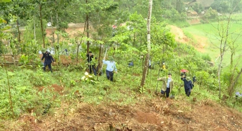 Hà Giang tích cực triển khai chương trình trồng 1 tỷ cây xanh