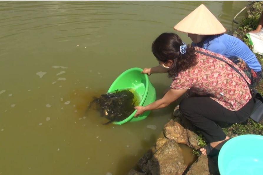 Trung tâm Khuyến nông tỉnh trao cá giống hỗ trợ cải tạo vườn tạp