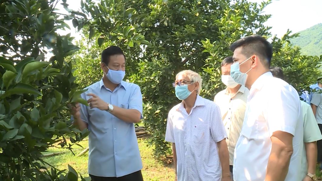 Chủ tịch UBND tỉnh Nguyễn Văn Sơn kiểm tra tại huyện Quang Bình