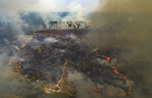 Amazon mất 2,3 triệu ha rừng nguyên sinh trong năm 2020 - Ảnh 1.