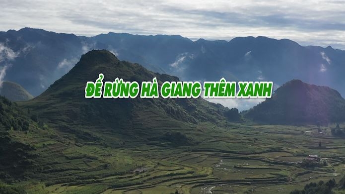 Để rừng Hà Giang thêm xanh - Ngày 13/11/2022
