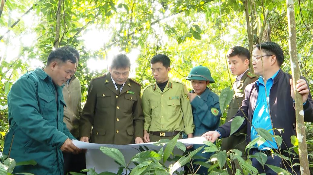 Bắc Quang: Khai thác tiềm năng và những giá trị mang lại từ rừng