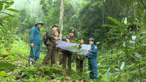 Yên Minh tăng cường công tác quản lý bảo vệ rừng gắn với phát triển lâm nghiệp bền vững - Ngày 14/01/2024