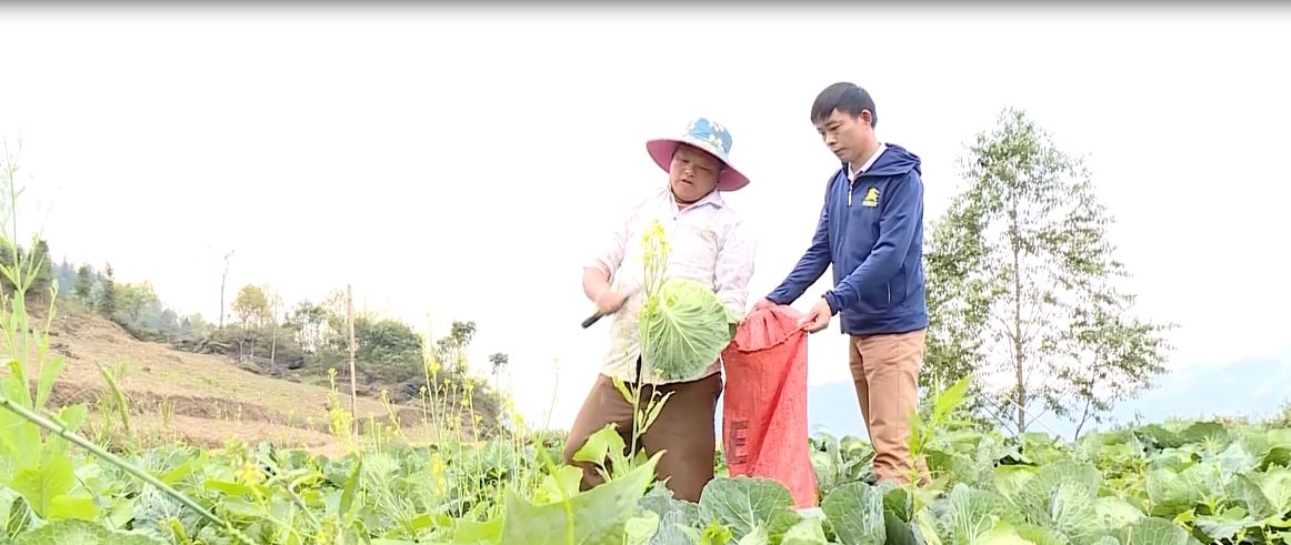 Hiệu quả từ mô hình cải tạo vườn tạp đến bếp ăn bán trú ở huyện Xín Mần