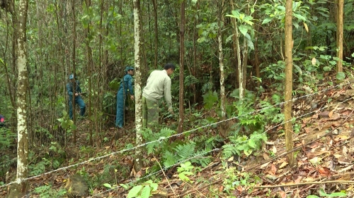 Hà Giang tăng cường sự lãnh đạo của Đảng đối với công tác quản lý bảo vệ và phát triển rừng - Ngày 12/5/2024