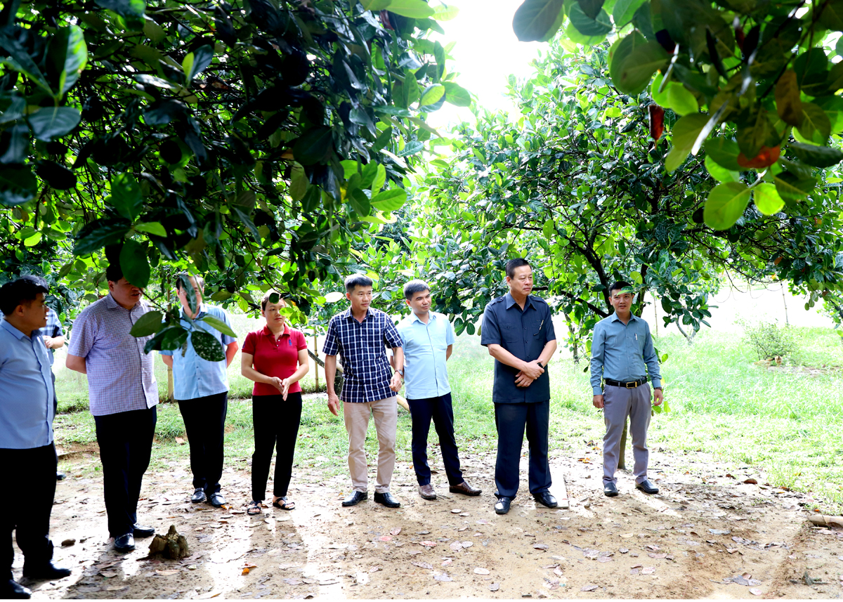 Chủ tịch UBND tỉnh Nguyễn Văn Sơn kiểm tra xây dựng Nông thôn mới và các dự án đầu tư tại Bắc Quang