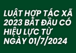 Những điểm mới của luật HTX năm 2023