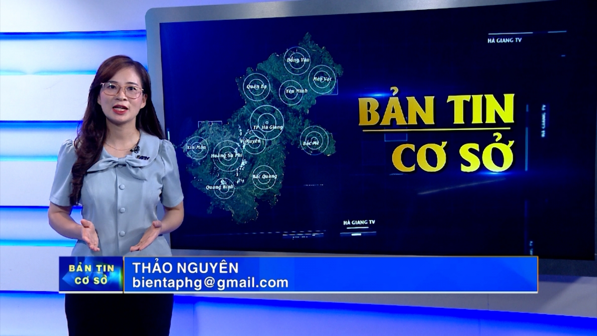 Bản tin cơ sở  - Ngày 8/10/2024