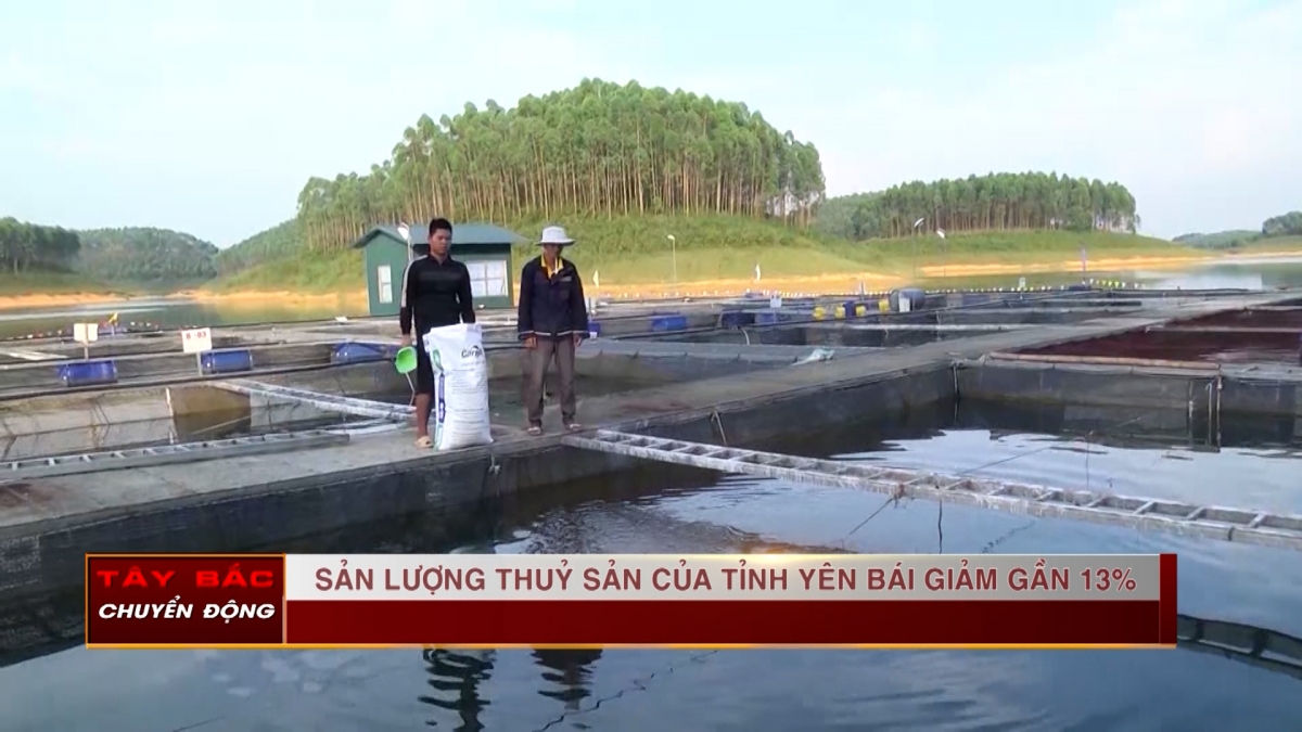 Tây Bắc chuyển động - Ngày 13/11/2024