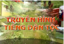 Thời sự tiếng Tày - Ngày 7/12/2020