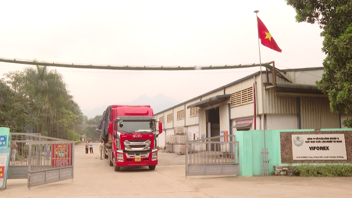 Hà Giang “thích ứng, linh hoạt” với dịch Covid-19 - Ngày 01/4/2022