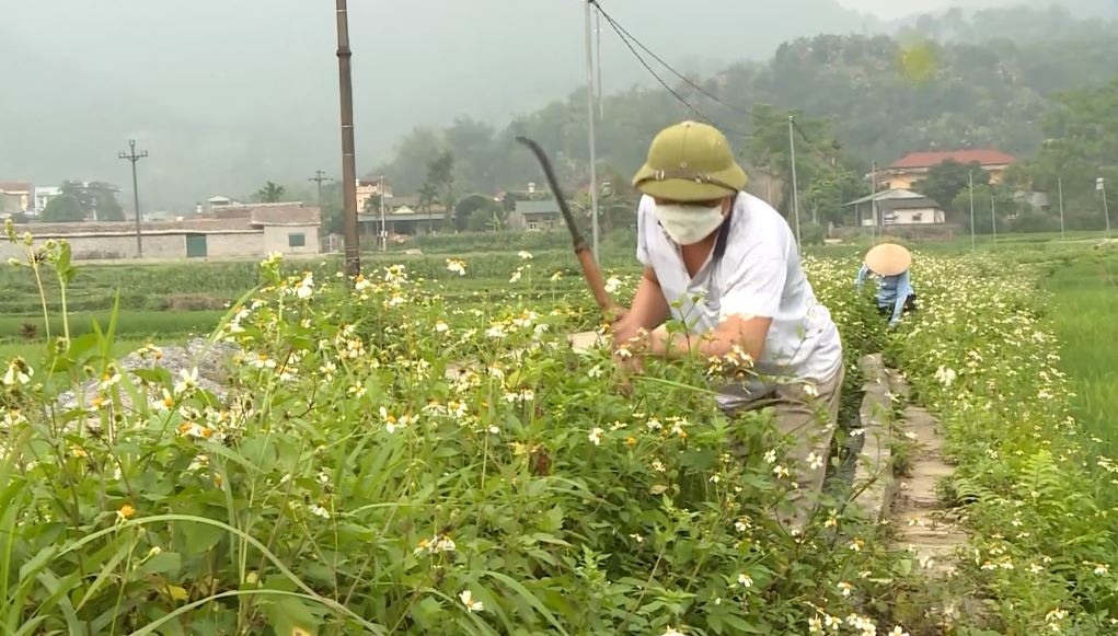 Hà Giang triển khai tháng cao điểm nạo vét kênh mương