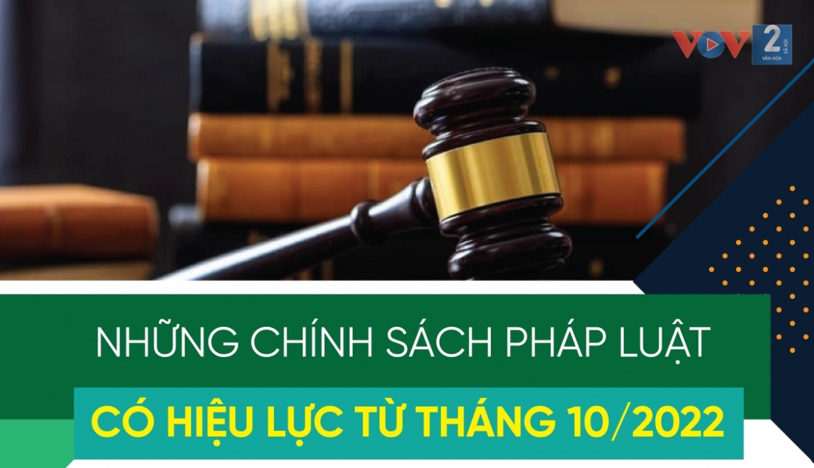 Những chính sách pháp luật có hiệu lực từ tháng 10/2022