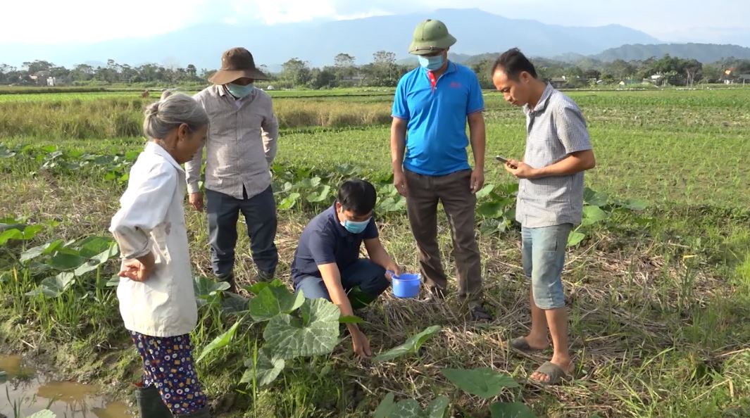 Bắc Quang thực hiện mô hình liên kết trồng bí siêu quả