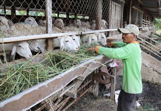 Tăng cường sự lãnh đạo của Đảng với công tác giảm nghèo bền vững