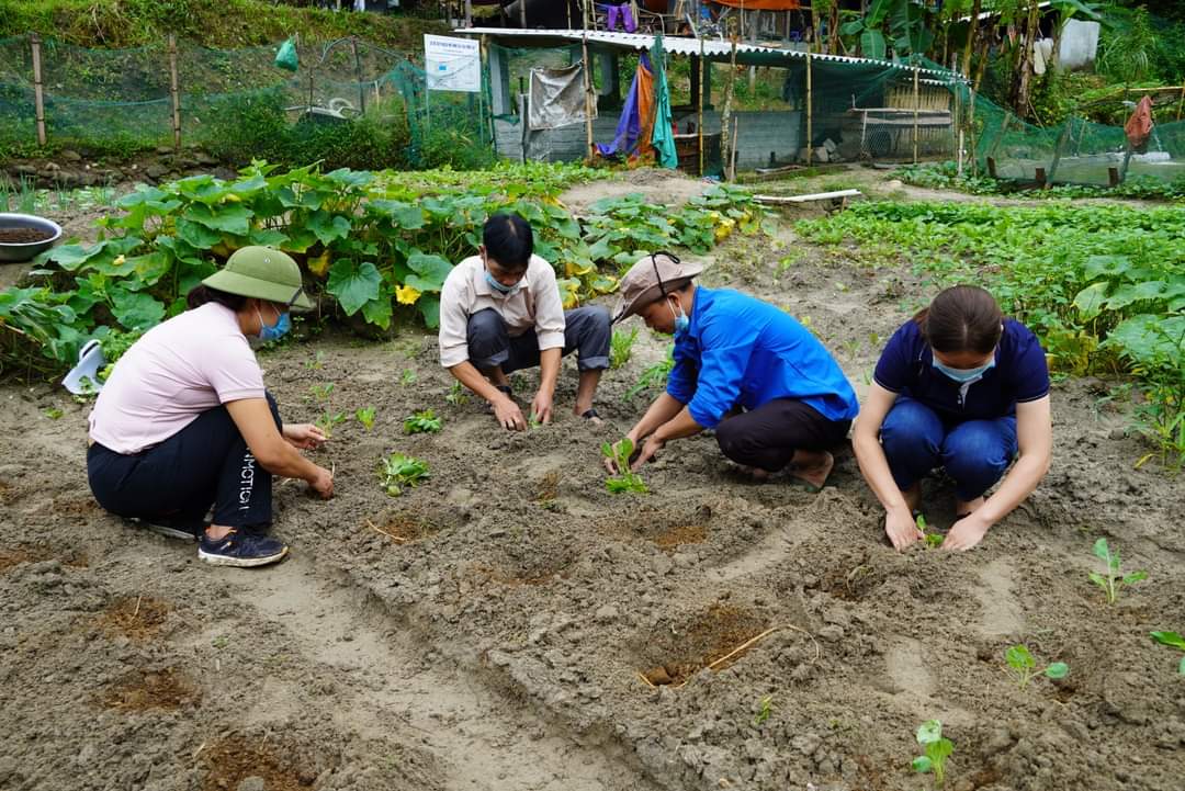 Hà Giang triển khai kế hoạch trồng cây vụ Đông