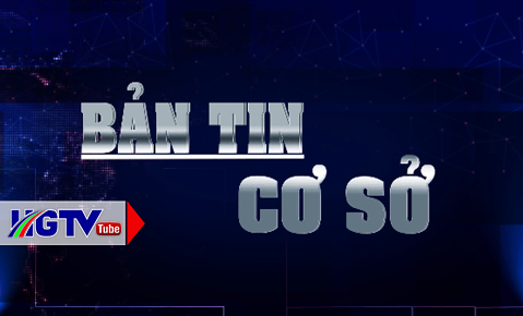 Bản tin cơ sở - Ngày 21/6/2021